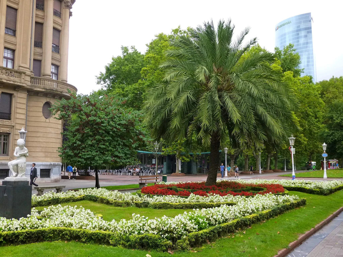 Anillos de Compromiso en Bilbao: Los Mejores Lugares para tu Pedida