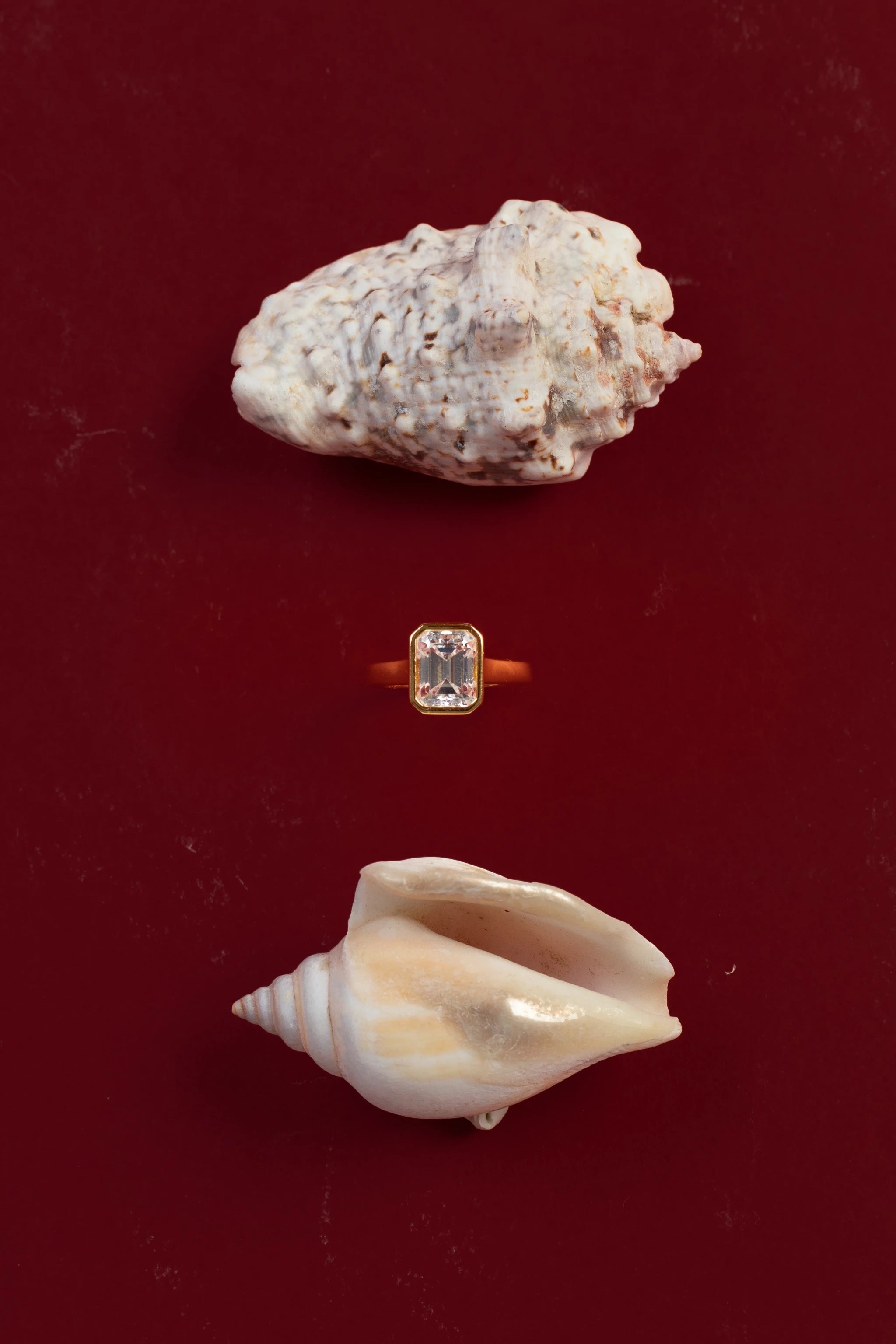 Imagen de contenido BRAVORA relacionada con anillos de compromiso