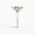 Anillo de compromiso VESTA marquesa clúster - contexto
