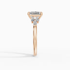 Anillo de compromiso VESTA princesa clúster - contexto