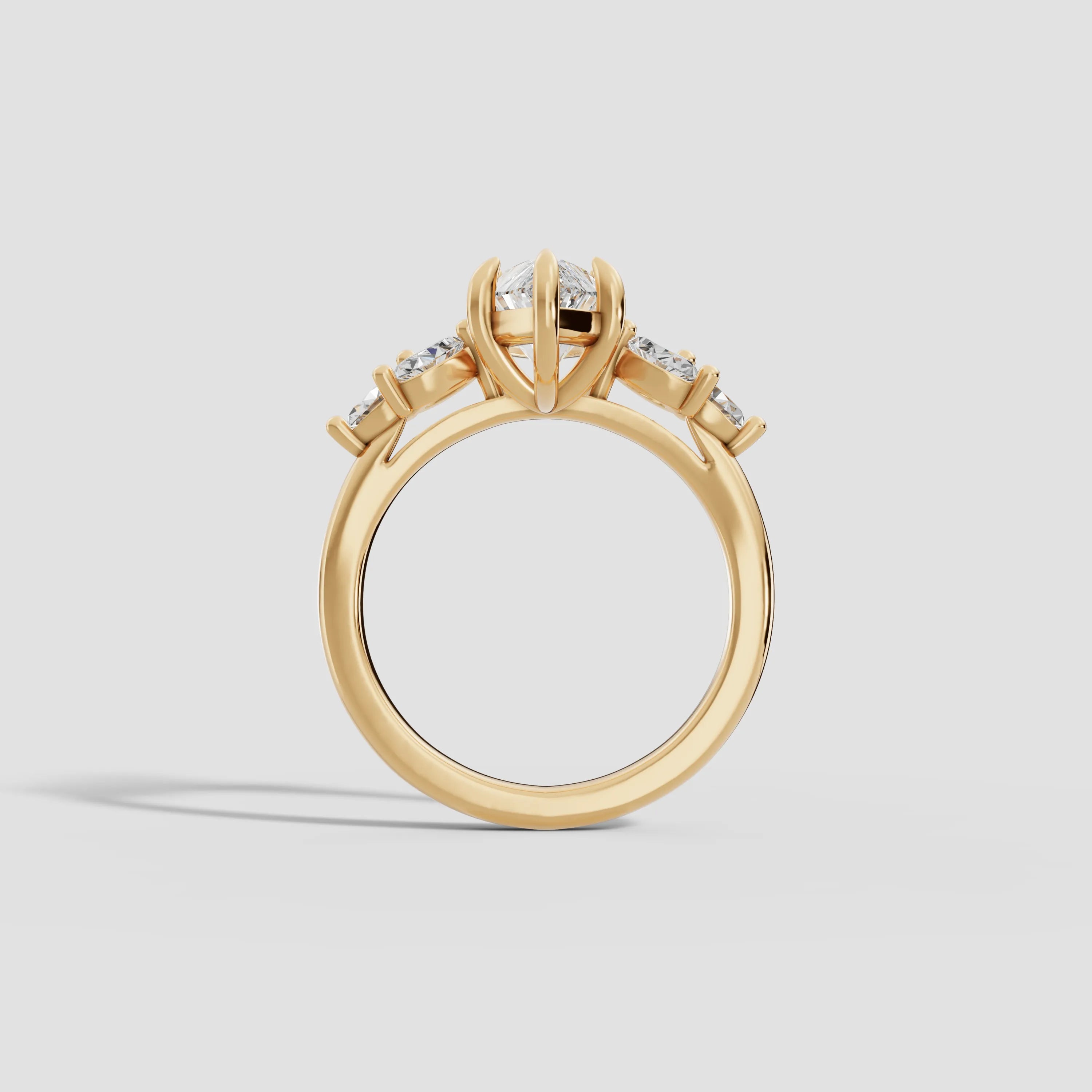 VESTA | Anillo clúster marquesa