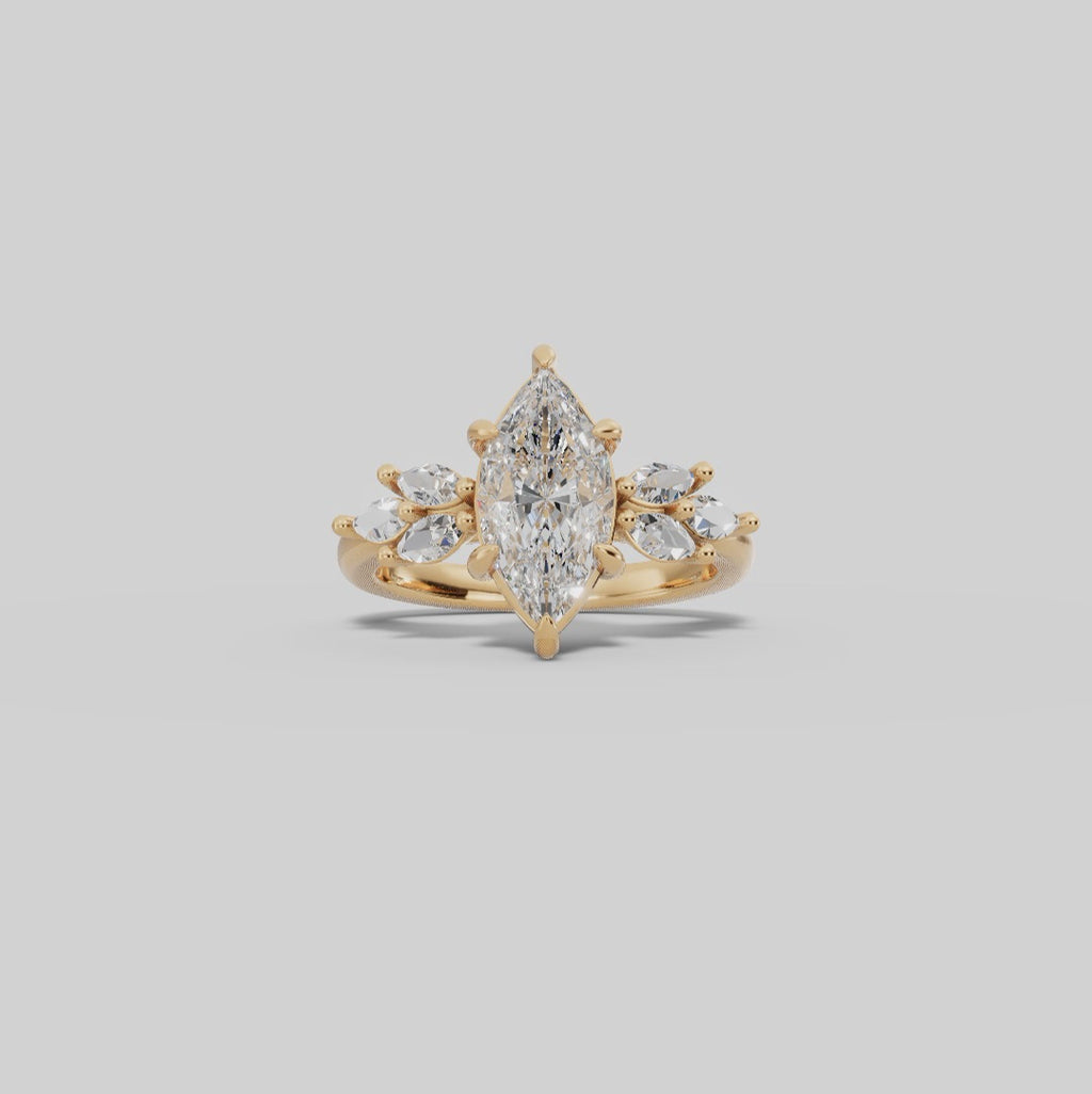 VESTA | Anillo clúster marquesa