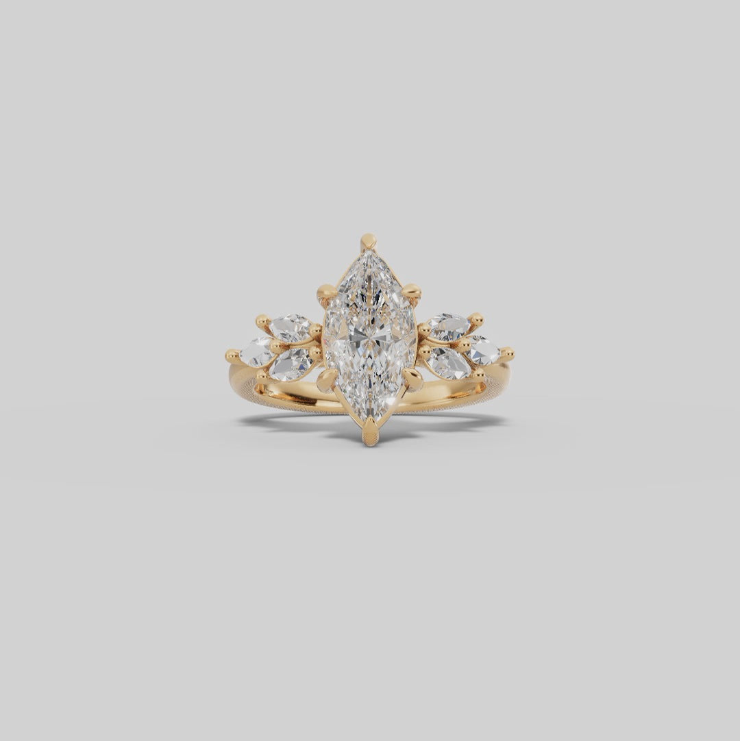 VESTA | Anillo clúster marquesa