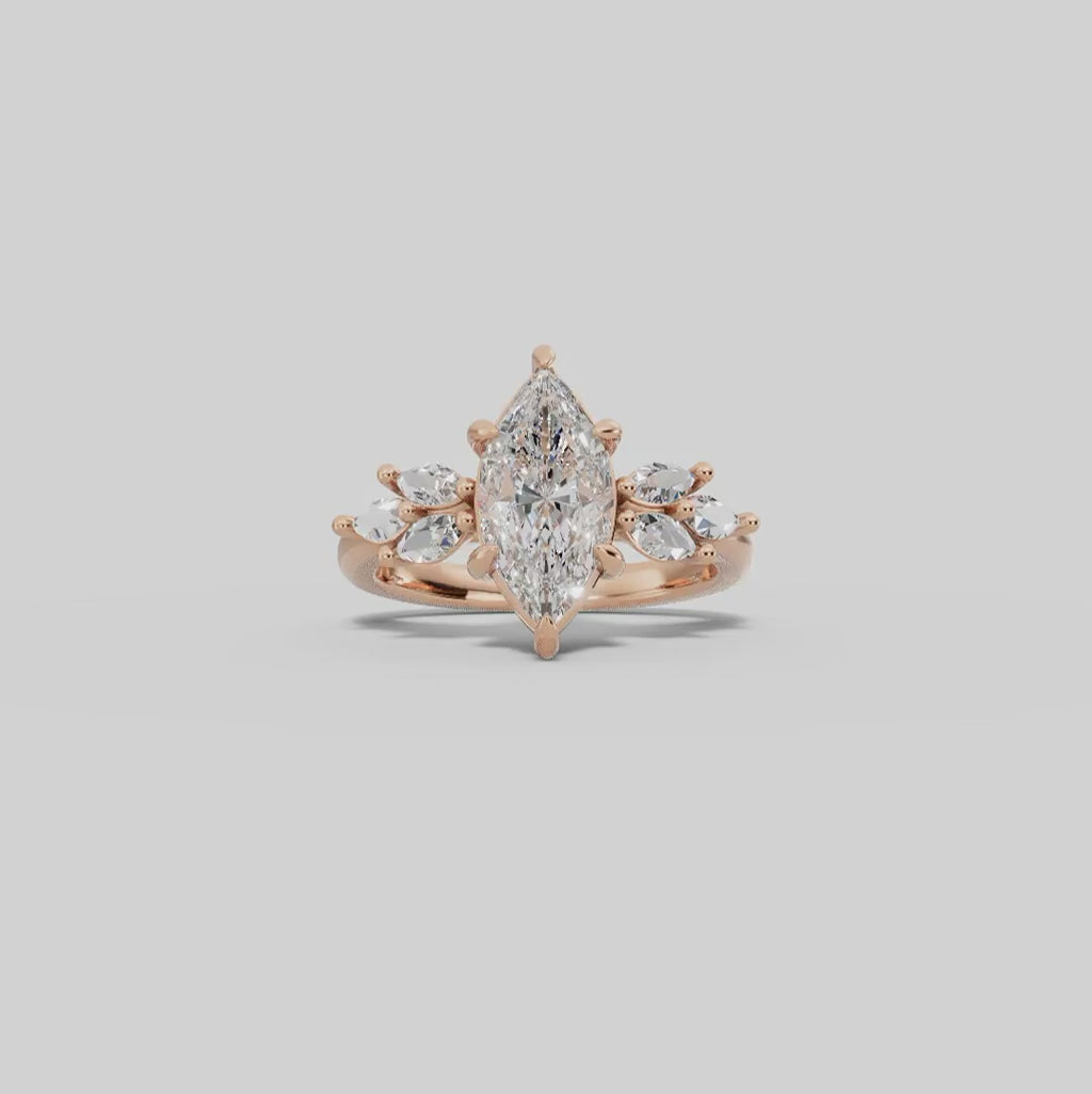 VESTA | Anillo clúster marquesa