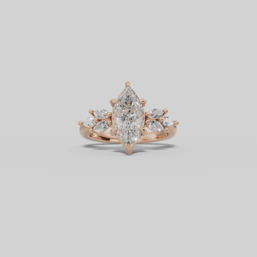 VESTA | Anillo clúster marquesa