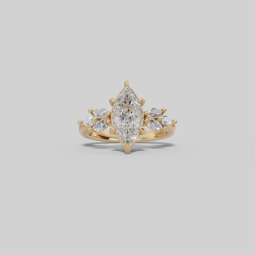VESTA | Anillo clúster marquesa