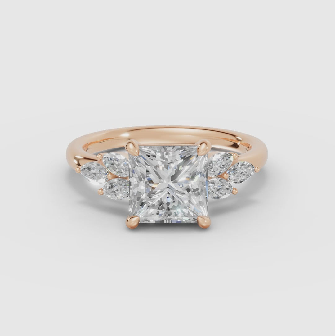 VESTA | Anillo clúster princesa