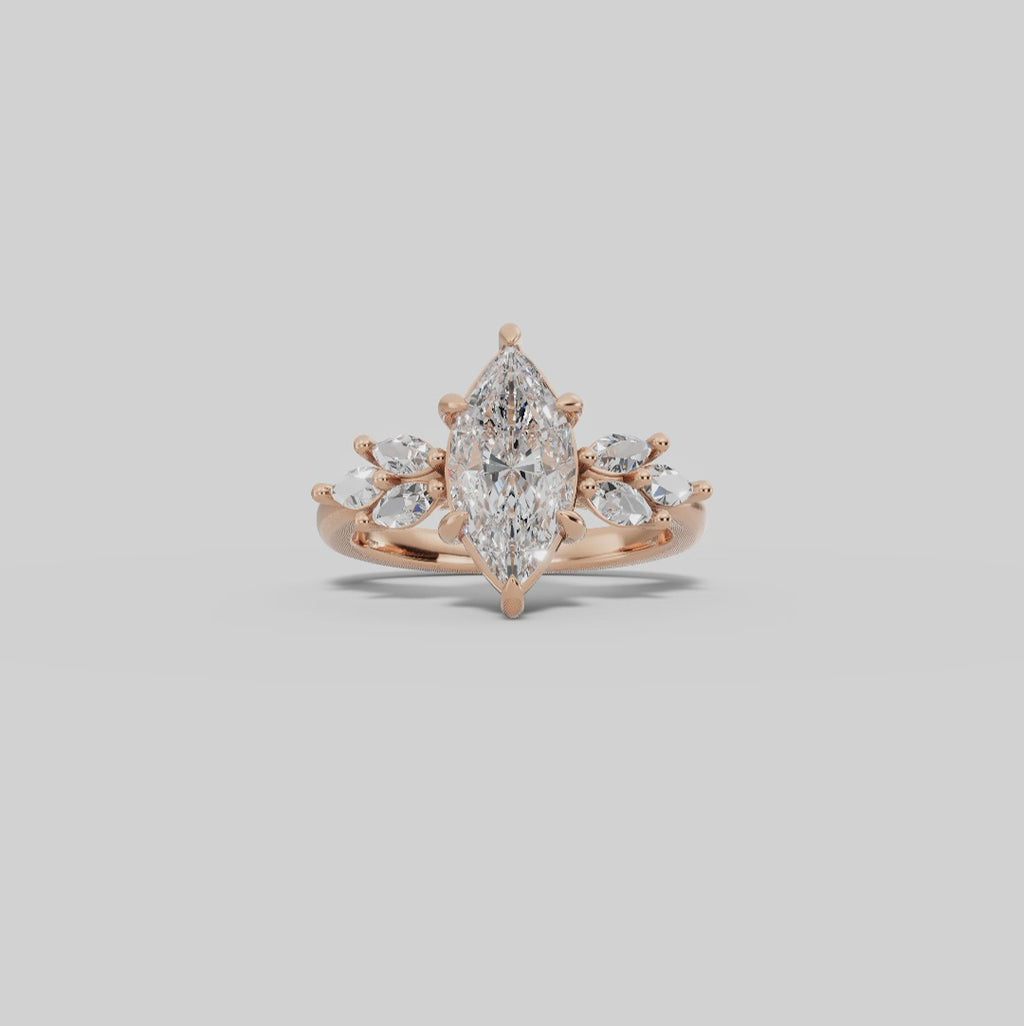 VESTA | Anillo clúster marquesa