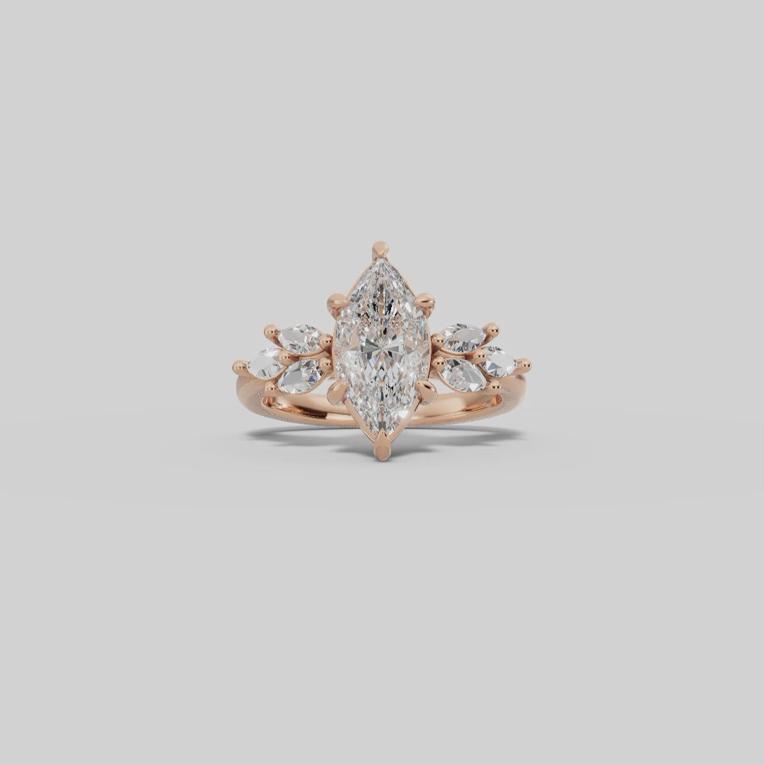 VESTA | Anillo clúster marquesa