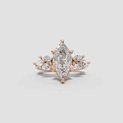 VESTA | Anillo clúster marquesa